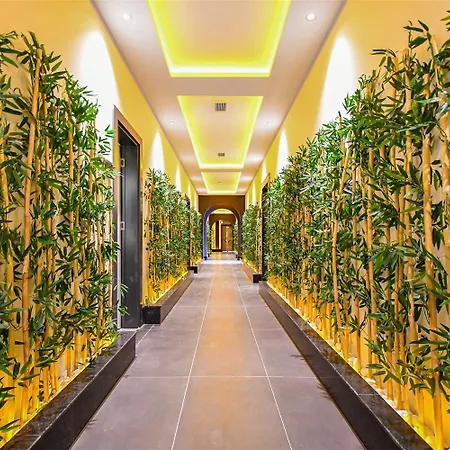 Apartman Faralya Cozy With Sea View In Quiet Payallar, Shuttle And Full Facilities Alanya